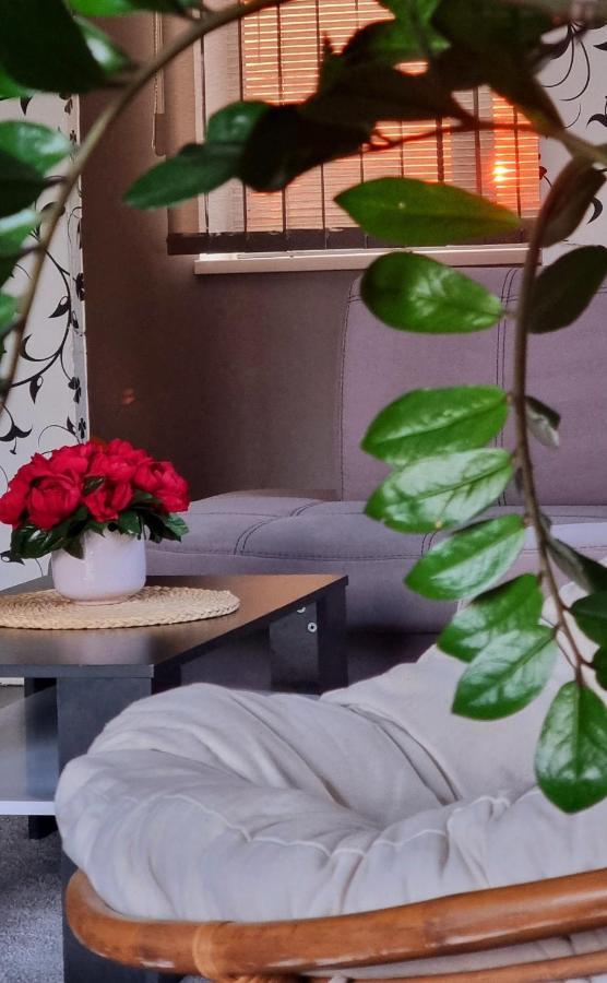 Sveciu Namai Kamile Villa Šiauliai Dış mekan fotoğraf